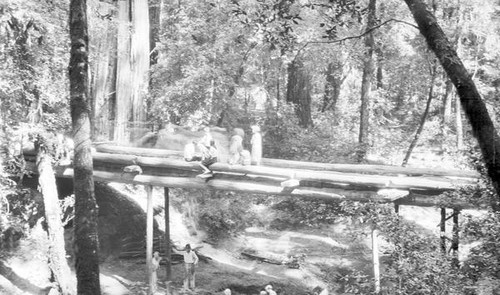 Group of girls on a bridge in the forest