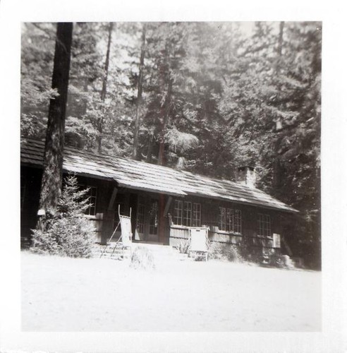 Building with stone steps in the forest