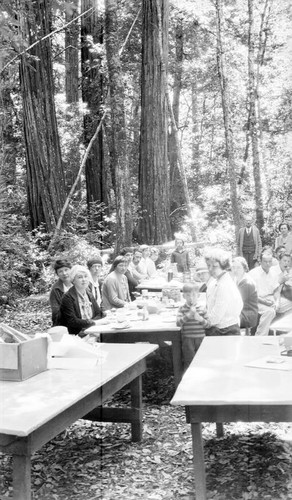 Men, women and children picnicing in the redwoods