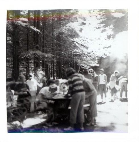 Large group of teenage girls working at picnic tables