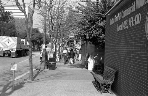 Participants in the 1986 y-Walk