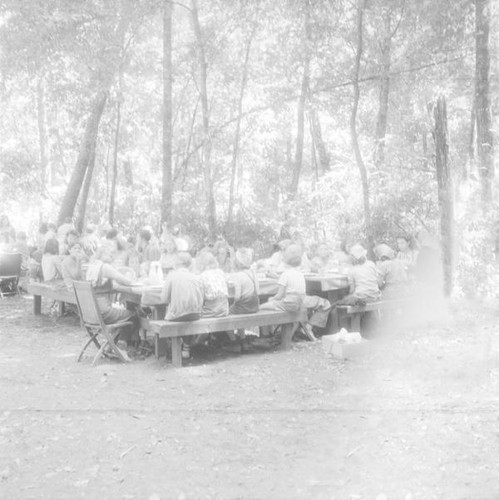 Large group of girls eating at picnic tables