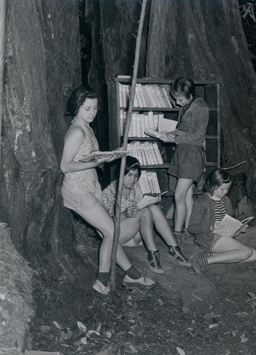 Girls reading next to two large redwood trees