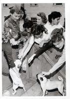 Photograph of girls petting dogs and a descriptive note