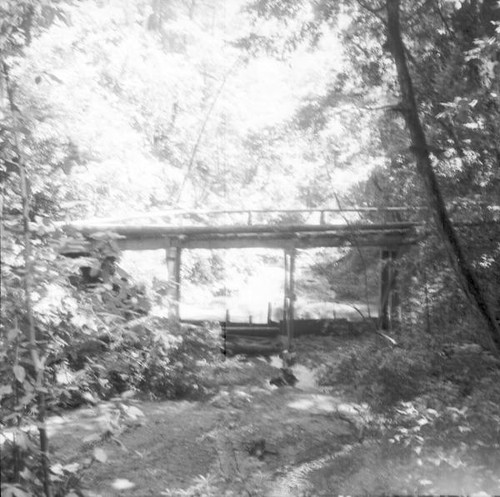 Bridge over a creek in the woods