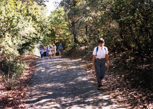 People hiking