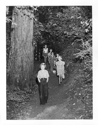 Group of girls hiking in the redwoods