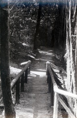 Wooded trail with boarded walk and railing at Ayun Mapu