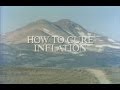 Volume 9: How to Cure Inflation