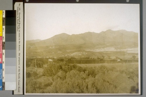 Greenland Ranch, an oasis in the desert. The property of the Pacific Coast Borax Company in Death Valley