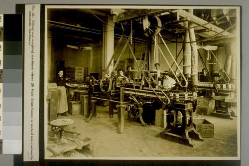 Filling and weighing machines where 20 Mule Team Borax is packed into cartons by automatic machinery