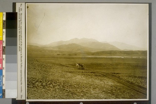 Showing the superintendent of the mines in Death Valley approaching the works. The white streak showing in the distance is alkali