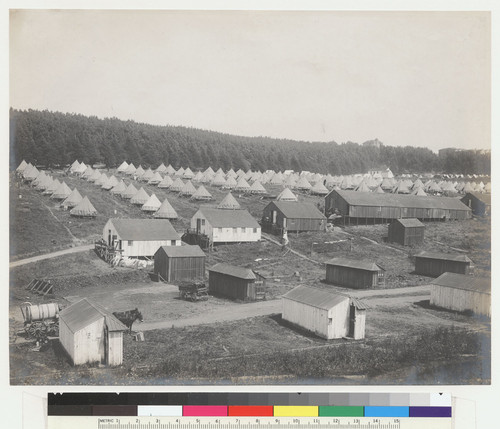 [Refugee camp. Unidentified location.]