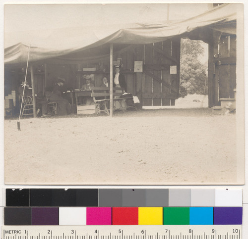 Campus Events: Earthquake refugees encamped on California Field, April, 1906 [University of California, Berkeley]