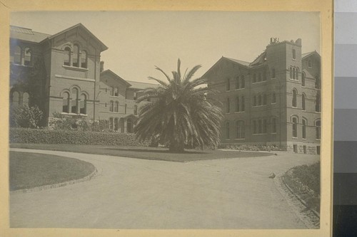 [Earthquake damage to brick buildings.]