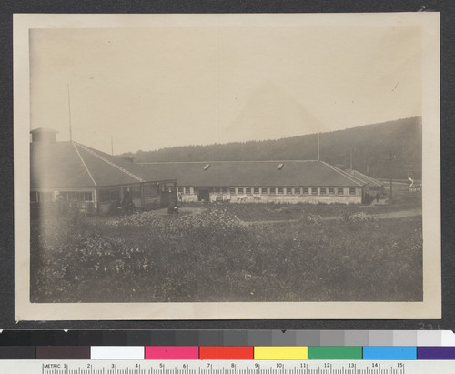 1906. Camp Ingleside. [Duplicate of 31d.]