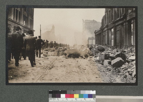 [Carcasses of steer. Mission St. near First.]