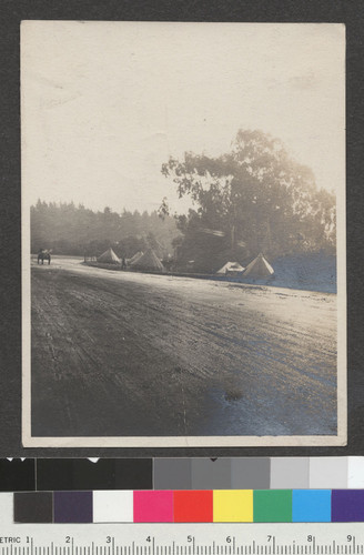 1906. Camp Ingleside. Set up at Race Track to house refugees as other camps closed. Stables converted to dormitories