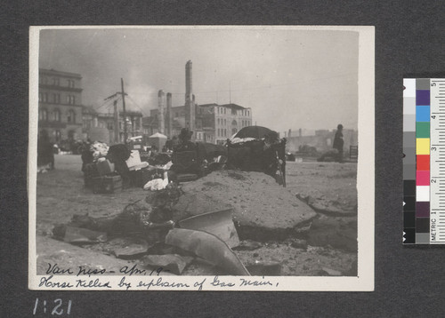 Horse killed by explosion of gas main. Van Ness, Apr. 19