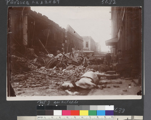 Produce Market. [Actually, fish market section of Merchant St. Dead horse among rubble.]