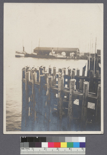 [Ferry wharf. San Francisco?]