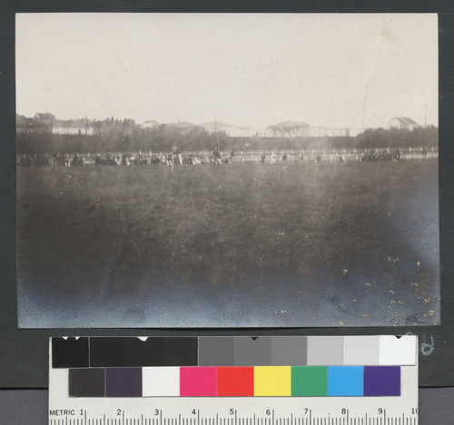 [Baseball game. Camp Ingleside.]