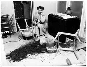 Deer wrecks home in Pasadena, 1955