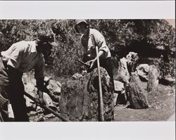 Two unidentified people excavating petrified wood, Calistoga, California, 1934