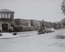Sales and Bourke Hatchery, Petaluma, California, April 14, 1949