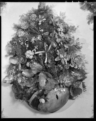 Inner circle of 1888 horseshoe-shaped shell art wreath made by poet Ina Donna Coolbrith, Santa Monica, 1953