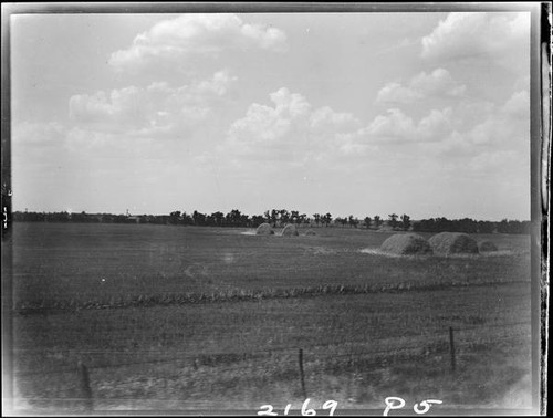 Field, haystacks, and clouds, Kansas, Colorado, or New Mexico, 1925