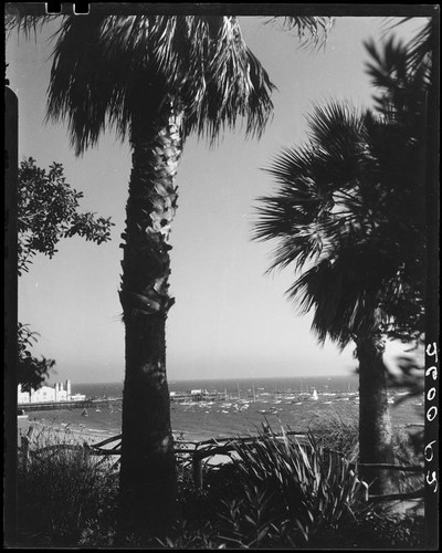 Santa Monica Bay from Palisades Park, Santa Monica, [1930s?]