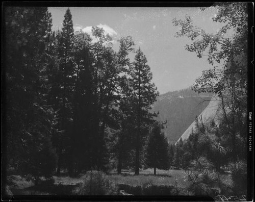 Meadow, trees, and mountains, Yosemite National Park, 1941