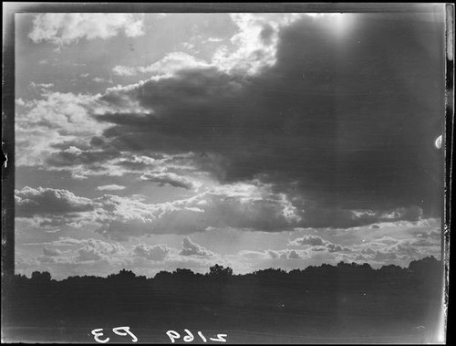 Clouds and trees, Kansas, Colorado, or New Mexico, 1925