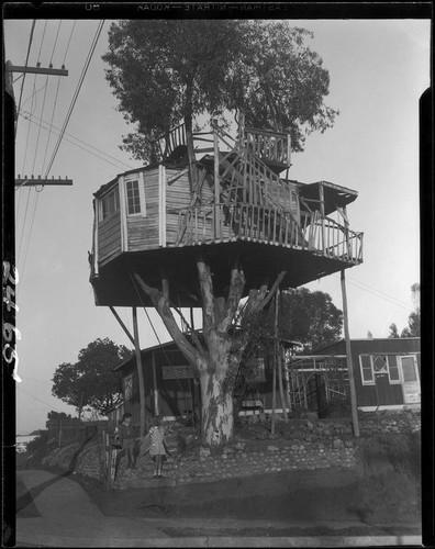 Tree house of Amos Aspey, Los Angeles