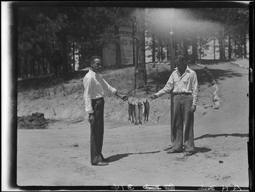 Men with string of trout, Lake Arrowhead, 1929