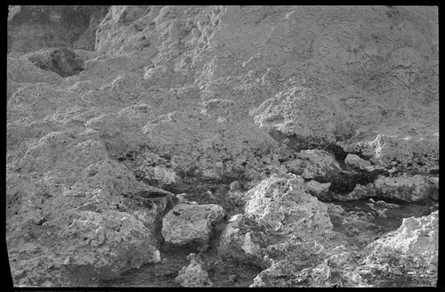 Tufa, Mono County, [1929?]