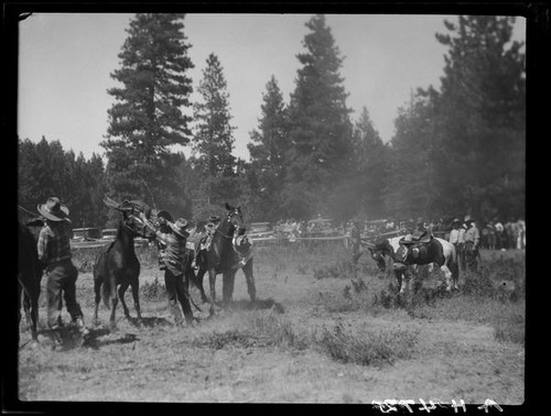 Rodeo performers and horses, Lake Arrowhead Rodeo, Lake Arrowhead, 1929