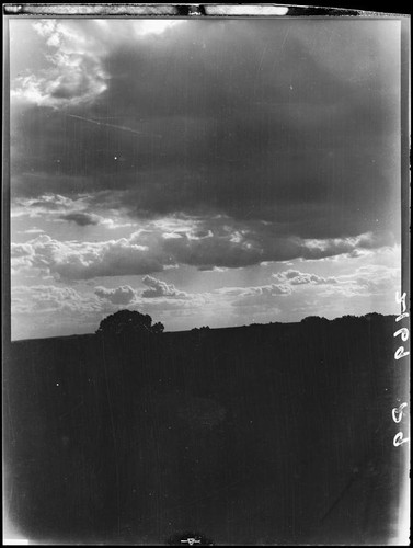 Clouds and trees, Kansas, Colorado, or New Mexico, 1925