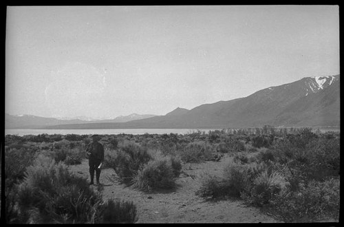 Man standing near Mono Lake, Mono County, [1929?]