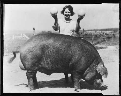 Young woman with hog and ostrich eggs, 1920