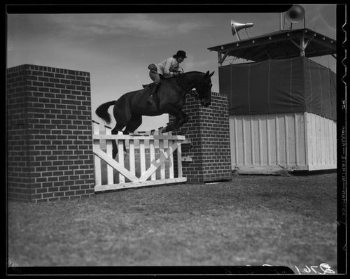 Horse jumping at the Palm Springs Field club during the Desert Circus Rodeo, Palm Springs, 1938