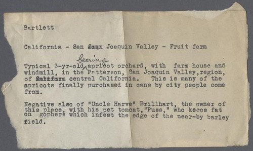 Typewritten description of Harve Brillhart's apricot orchard in the San Joaquin Valley, 1927