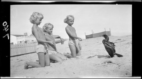 Mawby triplets with a cormorant on the beach, Malibu, 1928