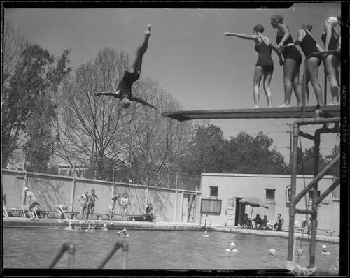 High school divers, Los Angeles High School, Los Angeles, 1932