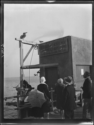 Bait shop, Santa Monica Pier, Santa Monica, [1920s?]