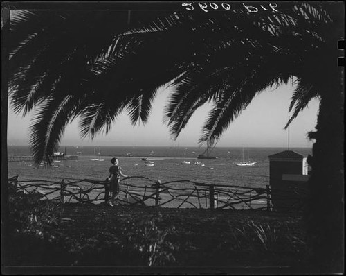 Santa Monica Bay from Palisades Park, Santa Monica, [1928?]