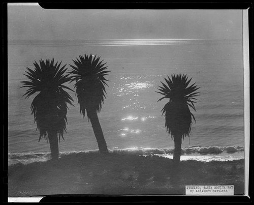 Palms, Santa Monica, 1929