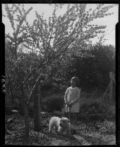 Adelaide Rearden posing next to a blossoming tree and a puppy, Santa Monica, circa 1928