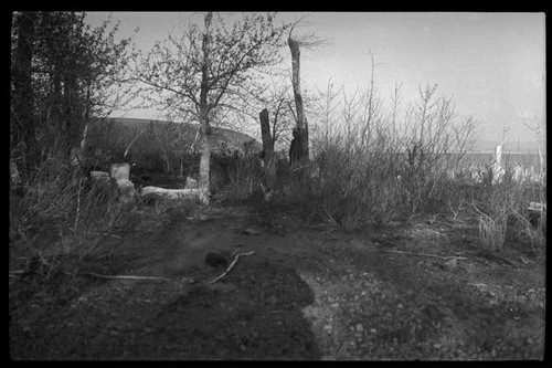 Mono Lake, Mono County, [1929?]